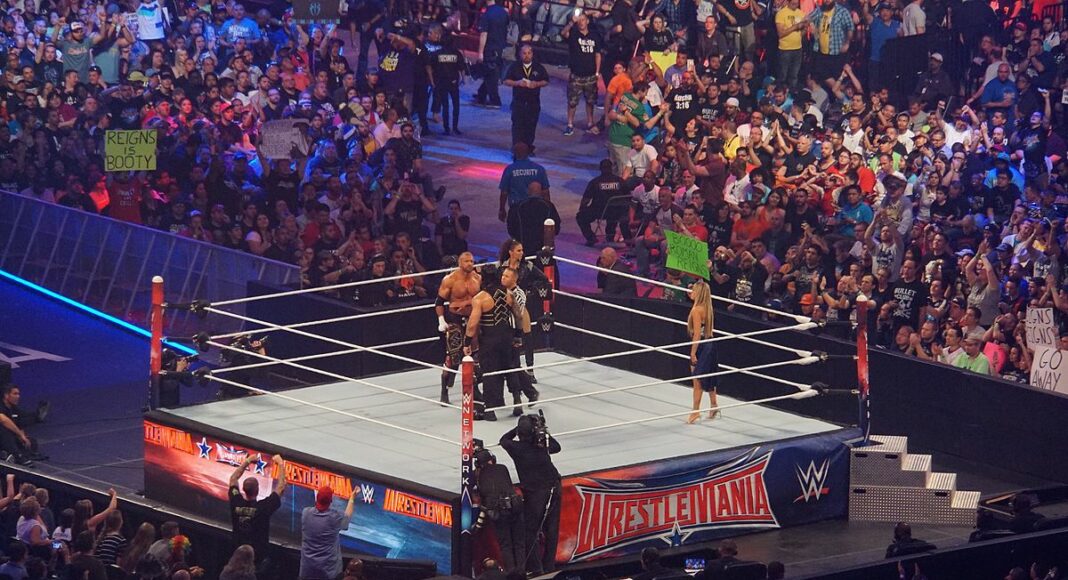 WrestleMania 32 2016 04 03 22 15 32 ILCE 6000 DSC01046 27998737125