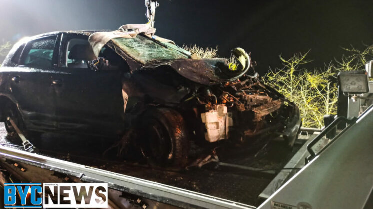 01D9D98A 446D 4966 B8F5 4C792676E5A3