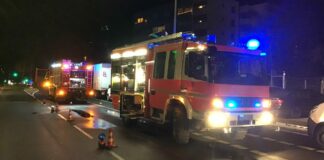 264711566 4614887571957172 5422525333020813465 n e1638803129143