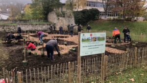 „dynamischer agroforst“ in gau-algesheim und köngernheim F 2111 dynamischer agroforst gau algesheim e1638403061458