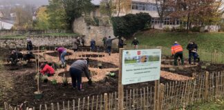 F 2111 Dynamischer Agroforst Gau Algesheim e1638403061458