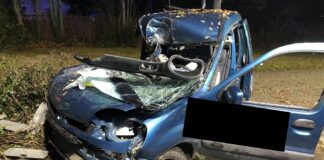 IMG 07261 e1639205915901