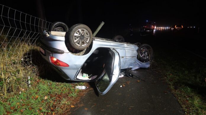 IMG 3785 e1640717627351 IMG 3785 e1640717627351