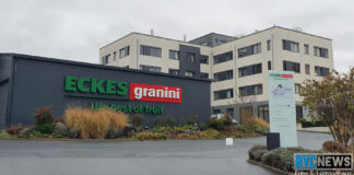 Nieder Olm0 e1639320804437