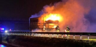 Screenshot 2021 12 11 02 47 06 968 com.miui .gallery e1639187317337