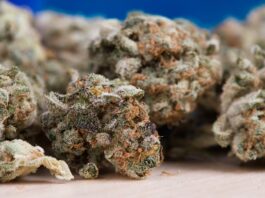 Cannabinoide