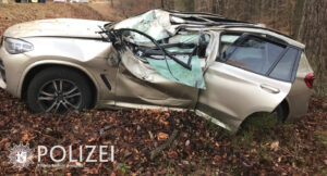 Gestohlener labrador aus kelsterbach wurde gefunden