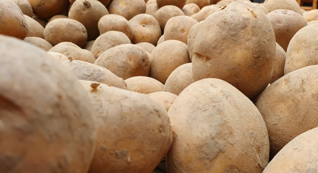 2020 12 19 14.15.32 thorsten luettringhaus symbolbild kartoffeln lebensmittel