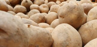 2020 12 19 14.15.32 thorsten luettringhaus symbolbild kartoffeln lebensmittel