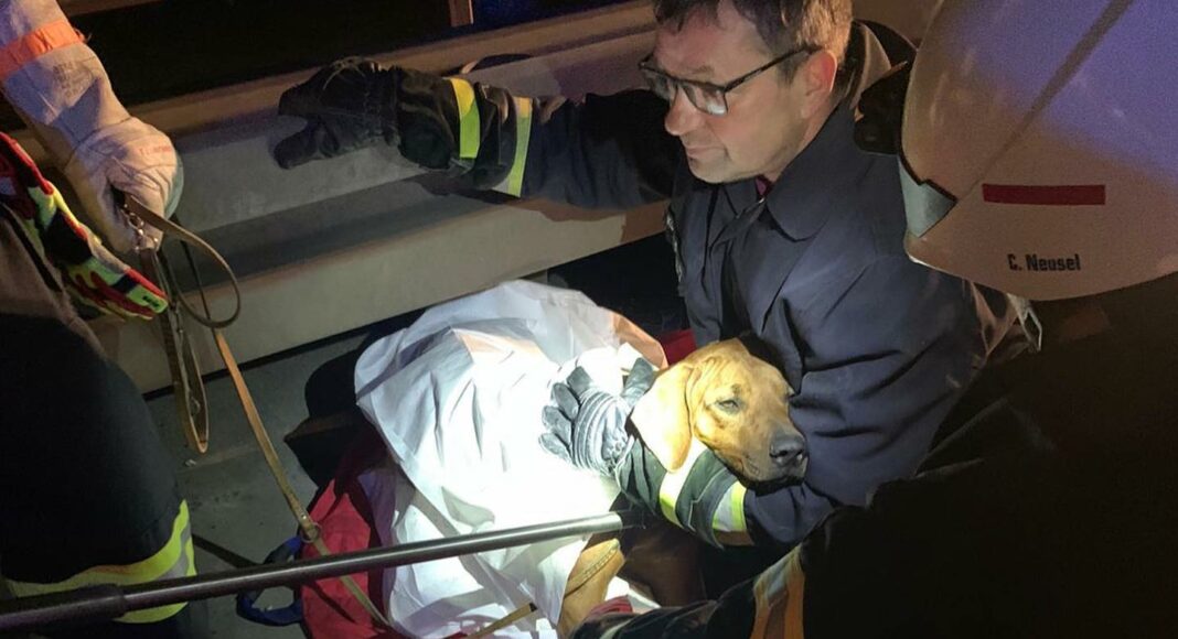 271158885 4770253353013521 7708003604717179141 n e1641201325532 271158885 4770253353013521 7708003604717179141 n e1641201325532