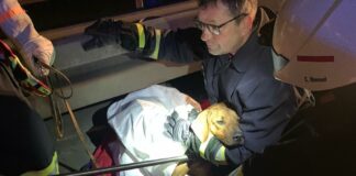 271158885 4770253353013521 7708003604717179141 n e1641201325532