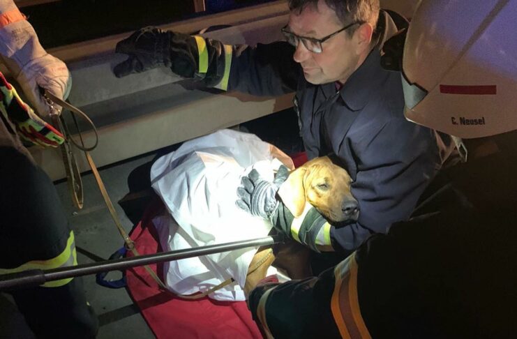 271158885 4770253353013521 7708003604717179141 n e1641201325532