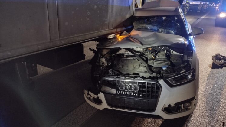 272616349 1296991480807811 7623053334216918633 n e1643010420356