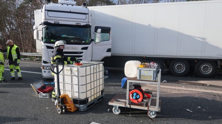 IMG 3827 e1641564198749