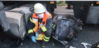 IMG 3906 e1641564216180