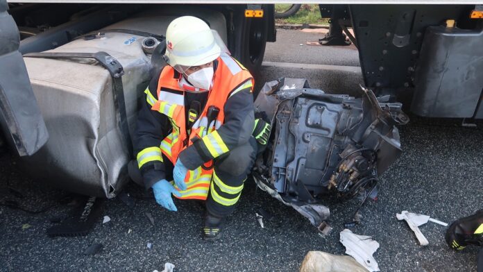 IMG 3906 e1641564216180