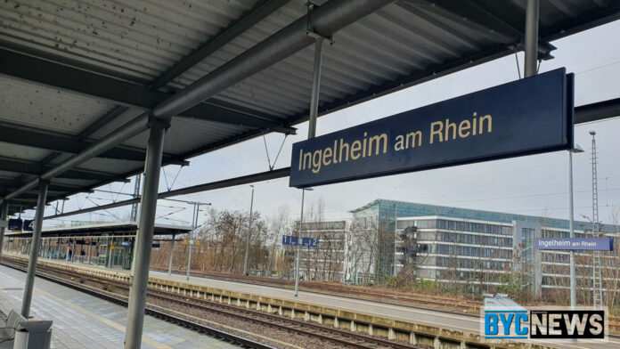 Ingelheim am Rhein3