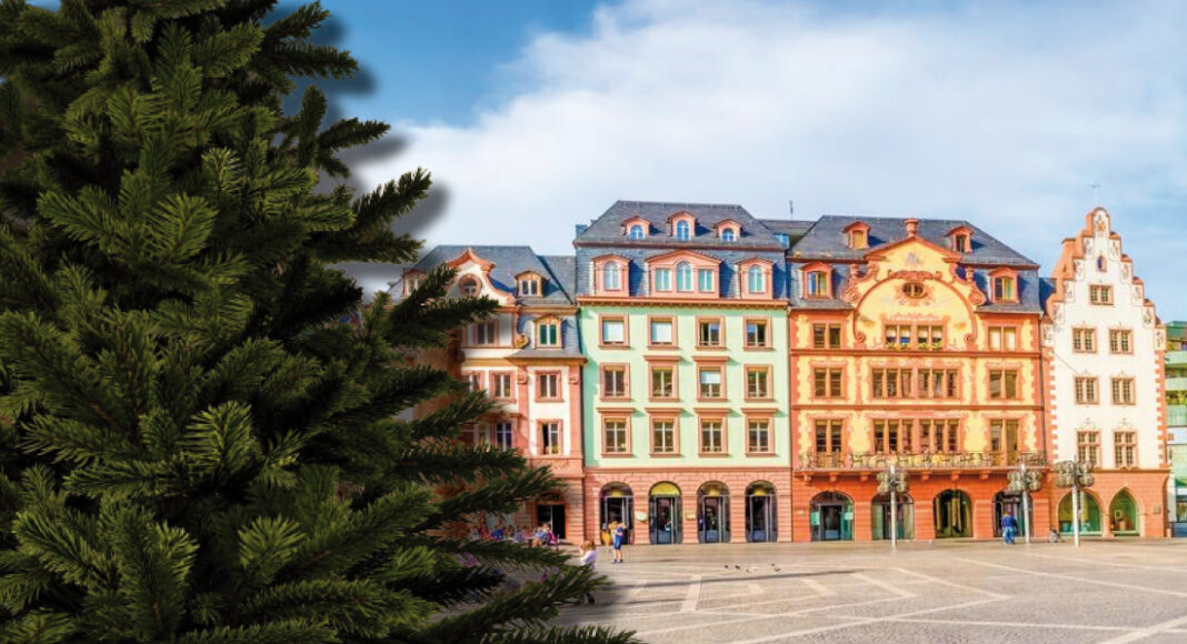 weihnachtsbaim mainz abholu
