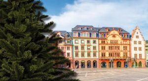 Autoknacker in nieder-olm unterwegs - polizei sucht nach zeugen Autoknacker in nieder-olm unterwegs - polizei sucht nach zeugen