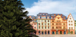 weihnachtsbaim mainz abholu