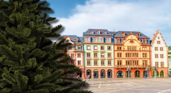 weihnachtsbaim mainz abholu