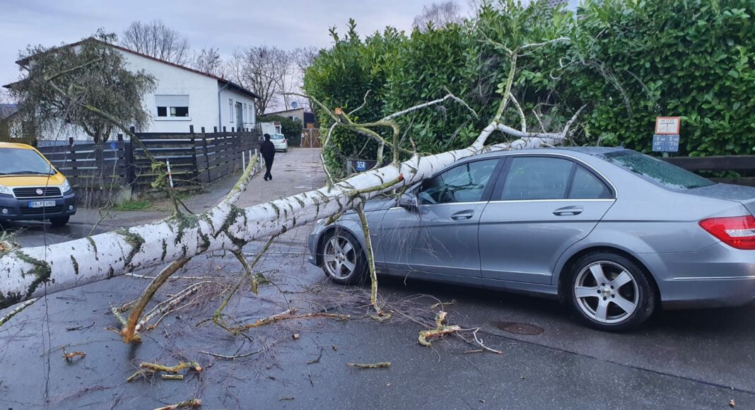 0838da7d 9400 4052 82a4 da1f86207fc3