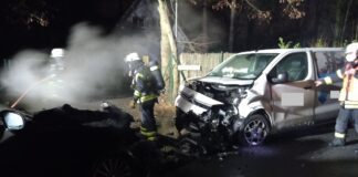 2022 011 001 e1644042049338