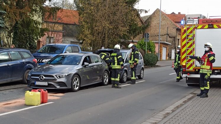 273000803 5202325379799692 5384182709251308659 n e1644252522774