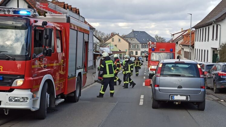 273032661 5202327676466129 1934527143007091013 n e1644252507374