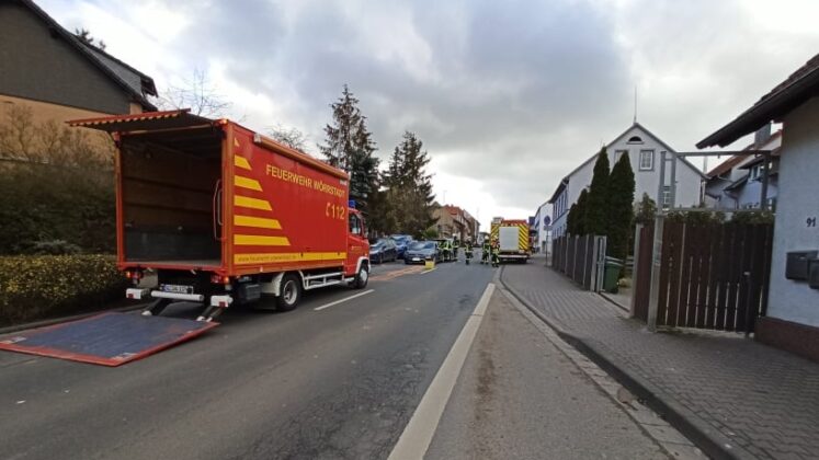 273303342 5202326046466292 8972844472742736639 n e1644252475278