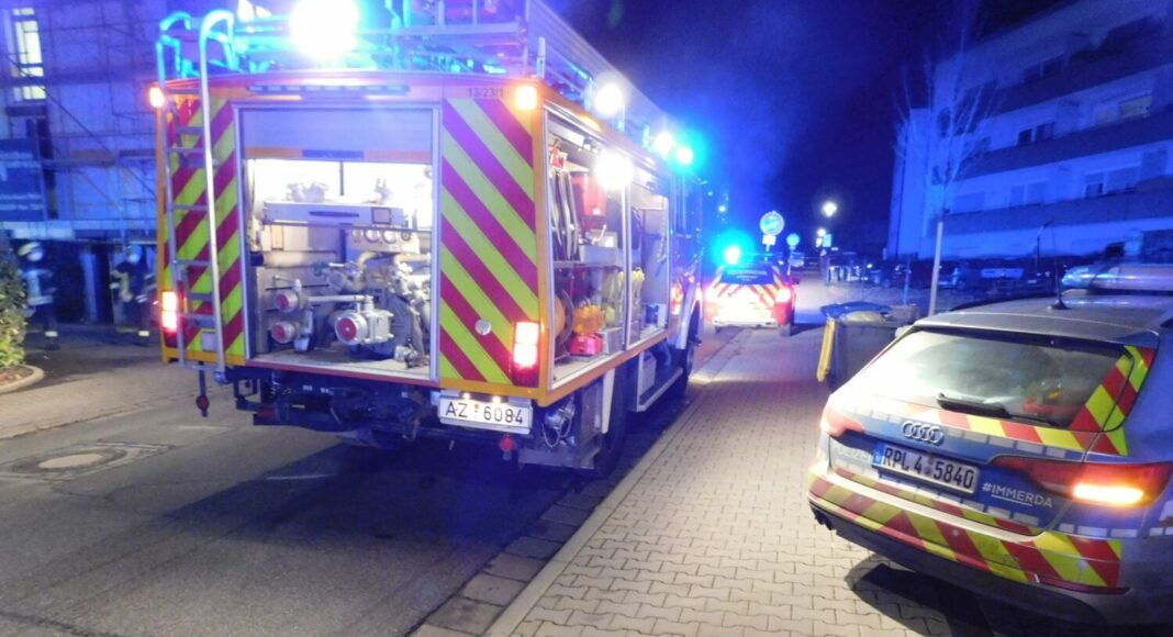 273429711 5202323909799839 5100773318079679012 n e1644252546840