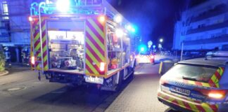 273429711 5202323909799839 5100773318079679012 n e1644252546840