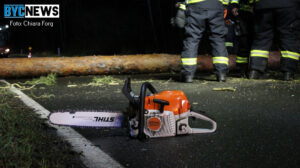 Flohmarkt in geisenheim am sonntag mit kaffee und kuchen