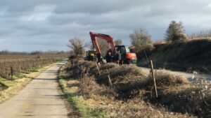 Fortsetzung schenkmireinenbaum feb2022 6 e1644568788305