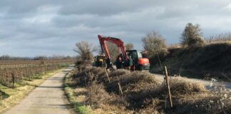 Fortsetzung SchenkMirEinenBaum Feb2022 6 e1644568788305