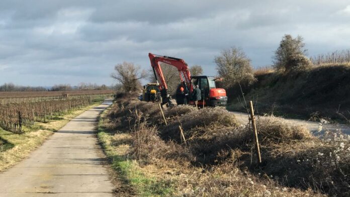 Fortsetzung SchenkMirEinenBaum Feb2022 6 e1644568788305 Fortsetzung SchenkMirEinenBaum Feb2022 6 e1644568788305