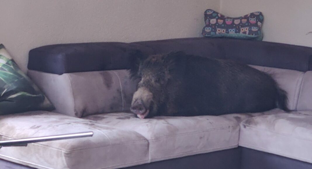 IMG 20220204 131130 e1644004148410 IMG 20220204 131130 e1644004148410