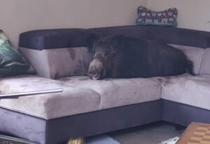 Unfall mit drei fahrzeugen auf der bundesstraße bei mörfelden-walldorf Unfall mit drei fahrzeugen auf der bundesstraße bei mörfelden-walldorf