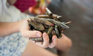 Ostukraine: evakuierung von familien aus luhansk Ukraine nothilfeporgramm stanytsia luhanska foto katerina ilievska163 e1645528462511