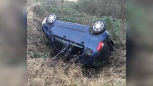 Das ingelheimer kinderhaus eröffnet eine eigene forscherstation