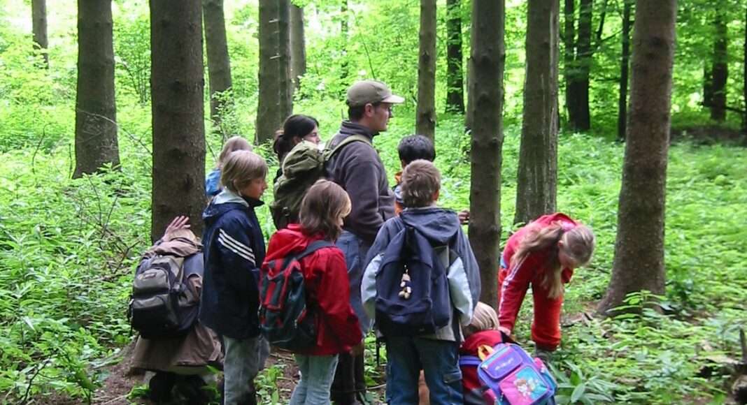 010322 Ober Seemen GEO im Wald e1646299788307 010322 Ober Seemen GEO im Wald e1646299788307