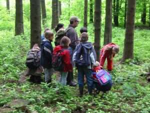010322 ober seemen geo im wald e1646299788307