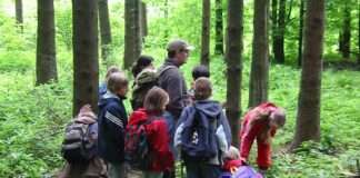 010322 Ober Seemen GEO im Wald e1646299788307