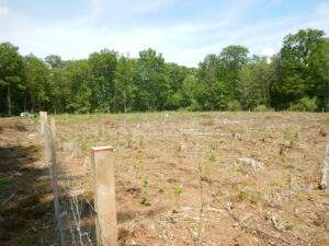Bodenheim: neubau auf 23. 500 quadratmeter im gewerbegebiet