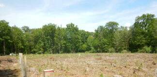 B2 9012828 71364140 Stadt Seligenstadt 9