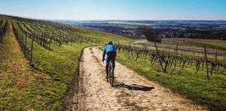 CTF 2021 NiederOlm e1647435437838