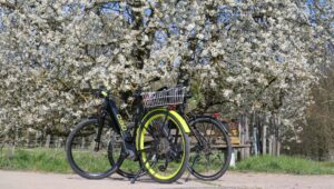 Reisetipp für natur- und ruhesuchende mitten in deutschland