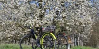 RHT Obstroute Westschleife lowcRheinhessen Touristik e1646237132207