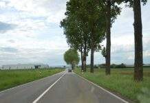 Verkehrsgutachten zur Rheinhessenstraße in Mainz beauftragt Rheinhessenstrasse Hoehe Messepark mit Baeumen kleiner