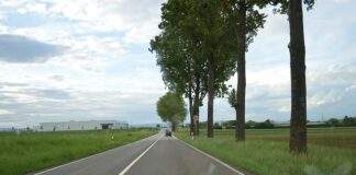 Rheinhessenstrasse Hoehe Messepark mit Baeumen kleiner